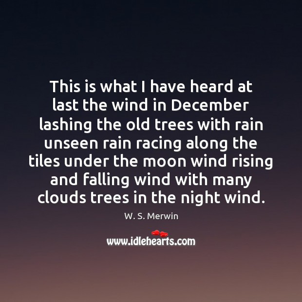 This is what I have heard at last the wind in December W. S. Merwin Picture Quote