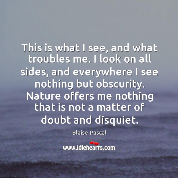This is what I see, and what troubles me. I look on Blaise Pascal Picture Quote