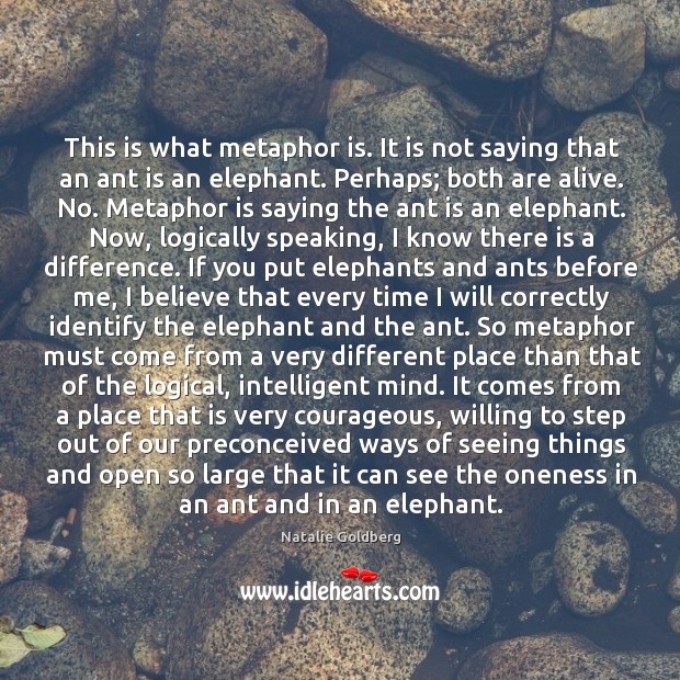 This is what metaphor is. It is not saying that an ant Image