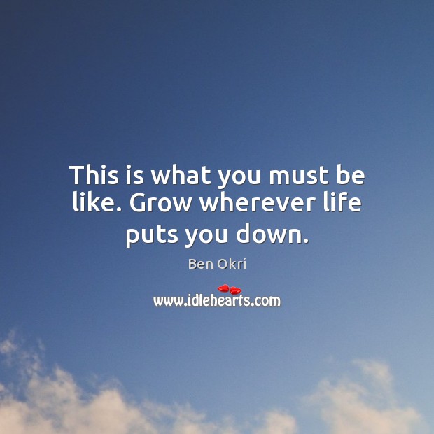 This is what you must be like. Grow wherever life puts you down. Image