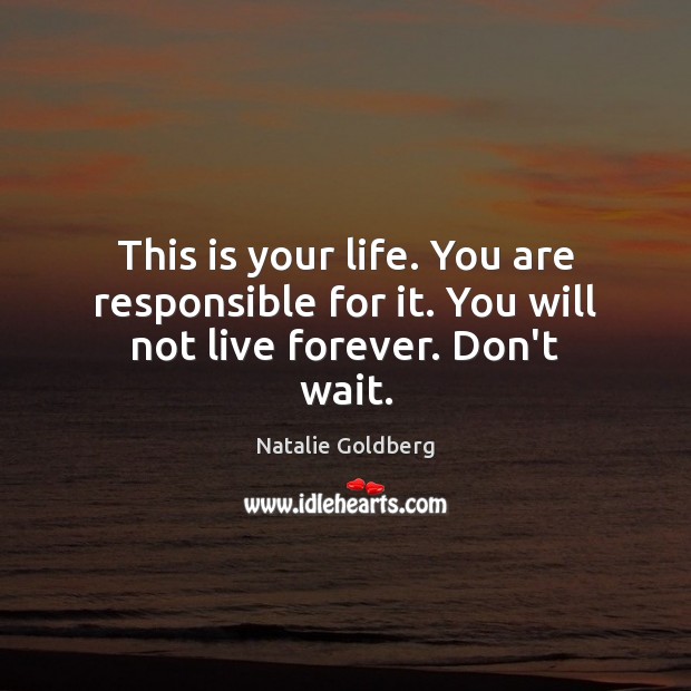 This is your life. You are responsible for it. You will not live forever. Don’t wait. Natalie Goldberg Picture Quote