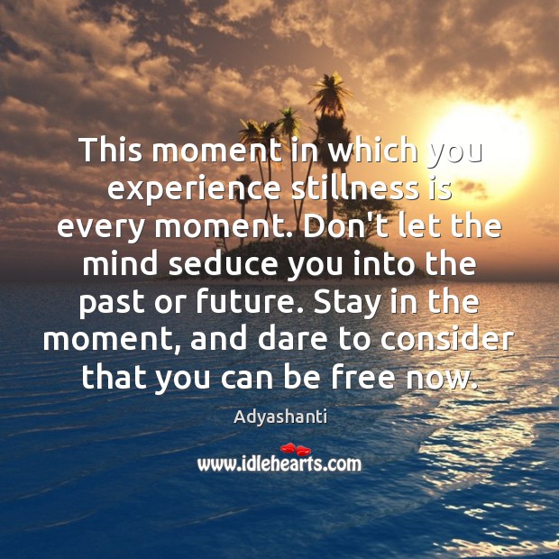 This moment in which you experience stillness is every moment. Don’t let Adyashanti Picture Quote