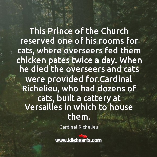 This Prince of the Church reserved one of his rooms for cats, Cardinal Richelieu Picture Quote