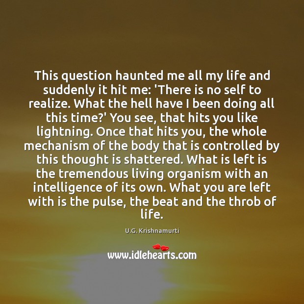 This question haunted me all my life and suddenly it hit me: U.G. Krishnamurti Picture Quote