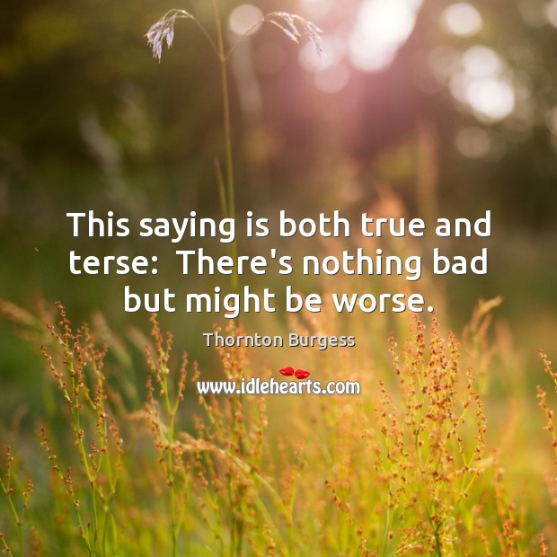 This saying is both true and terse:  There’s nothing bad but might be worse. Image