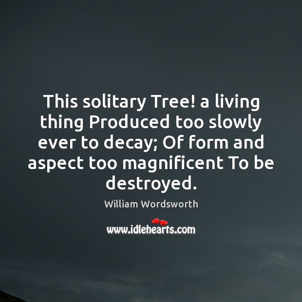 This solitary Tree! a living thing Produced too slowly ever to decay; William Wordsworth Picture Quote