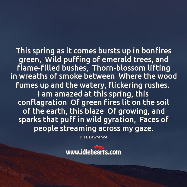This spring as it comes bursts up in bonfires green,  Wild puffing D. H. Lawrence Picture Quote
