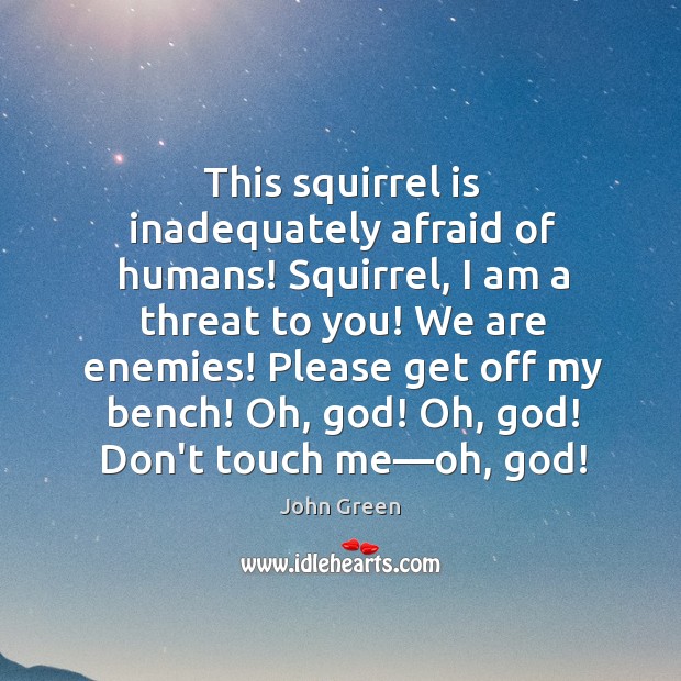This squirrel is inadequately afraid of humans! Squirrel, I am a threat Image