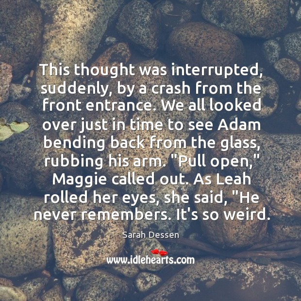 This thought was interrupted, suddenly, by a crash from the front entrance. Sarah Dessen Picture Quote