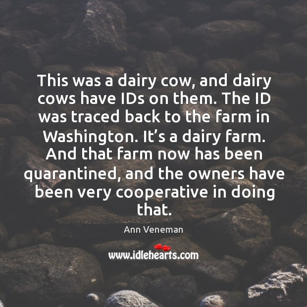 This was a dairy cow, and dairy cows have ids on them. The id was traced back to the farm in washington. Ann Veneman Picture Quote