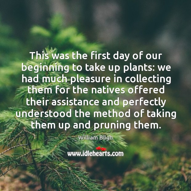 This was the first day of our beginning to take up plants: we had much pleasure in collecting 