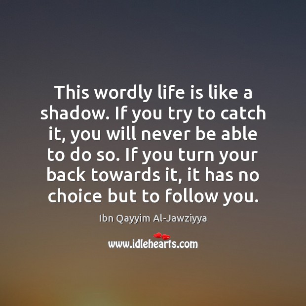 This wordly life is like a shadow. If you try to catch Image