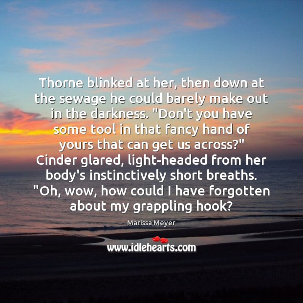 Thorne blinked at her, then down at the sewage he could barely Marissa Meyer Picture Quote