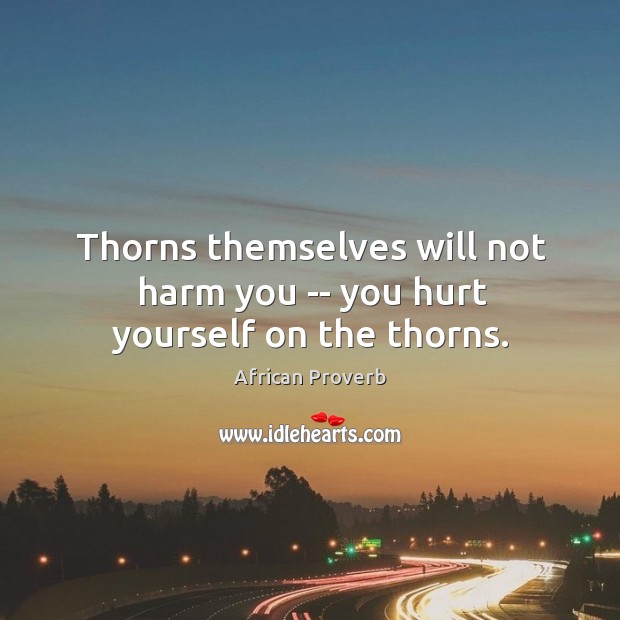 Thorns themselves will not harm you — you hurt yourself on the thorns. African Proverbs Image