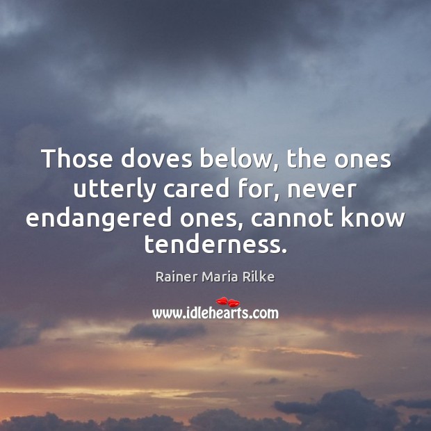Those doves below, the ones utterly cared for, never endangered ones, cannot Rainer Maria Rilke Picture Quote