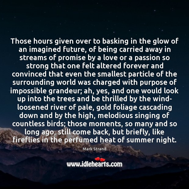 Those hours given over to basking in the glow of an imagined Summer Quotes Image