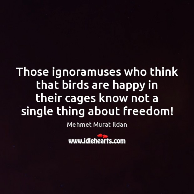 Those ignoramuses who think that birds are happy in their cages know Mehmet Murat Ildan Picture Quote