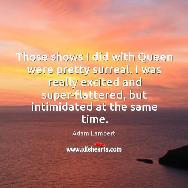 Those shows I did with Queen were pretty surreal. I was really Adam Lambert Picture Quote