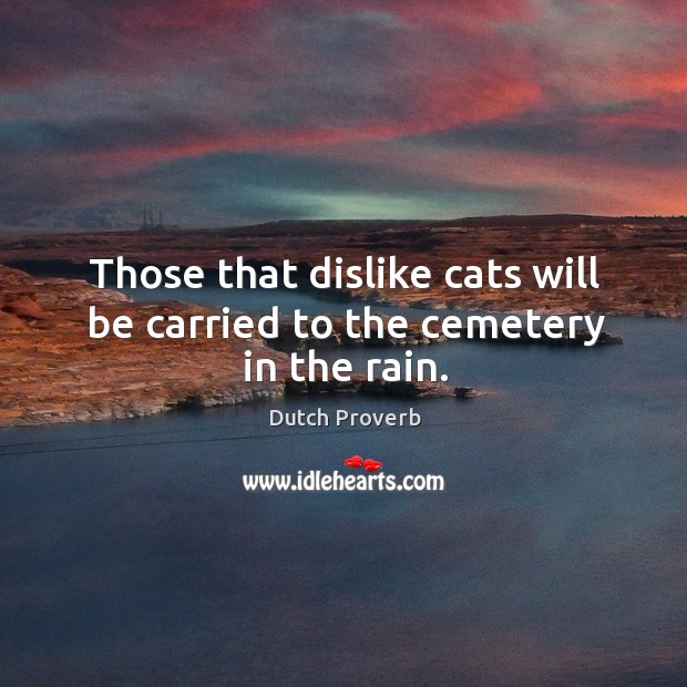 Those that dislike cats will be carried to the cemetery in the rain. Image