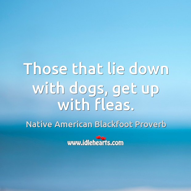Those that lie down with dogs, get up with fleas. Native American Blackfoot Proverbs Image