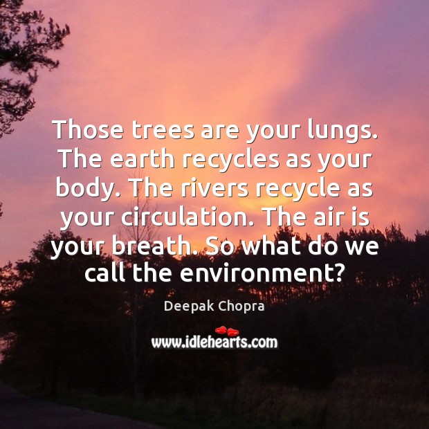 Those trees are your lungs. The earth recycles as your body. The Image