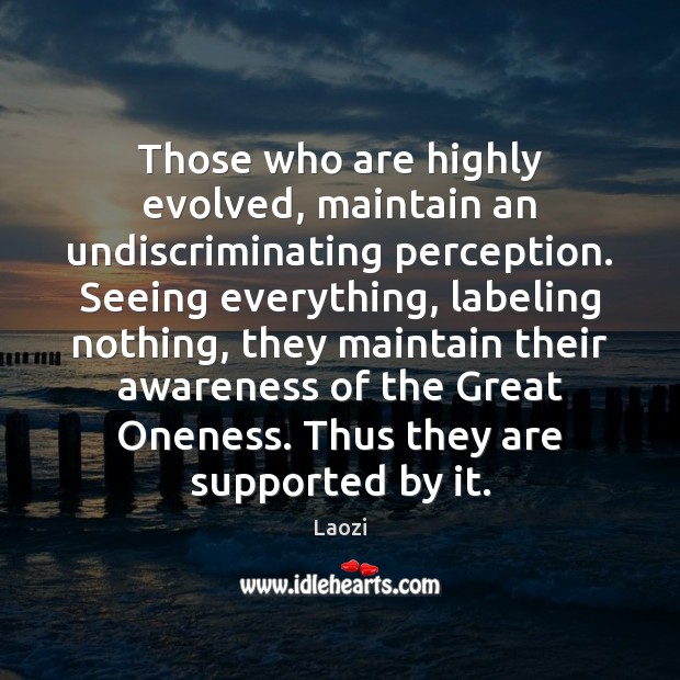 Those who are highly evolved, maintain an undiscriminating perception. Seeing everything, labeling Laozi Picture Quote