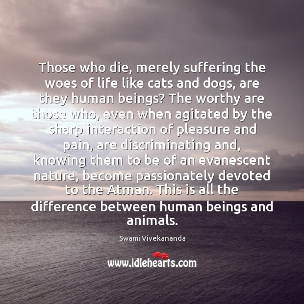 Those who die, merely suffering the woes of life like cats and Swami Vivekananda Picture Quote