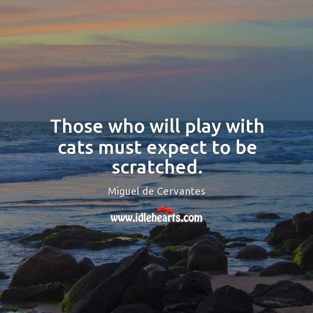 Those who will play with cats must expect to be scratched. Miguel de Cervantes Picture Quote