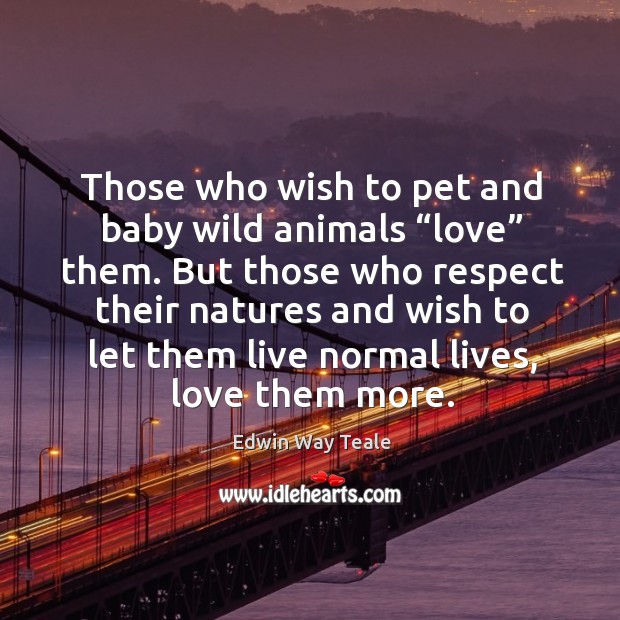 Those who wish to pet and baby wild animals “love” them. Image
