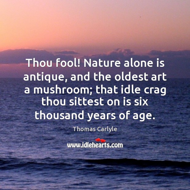 Thou fool! Nature alone is antique, and the oldest art a mushroom; Image