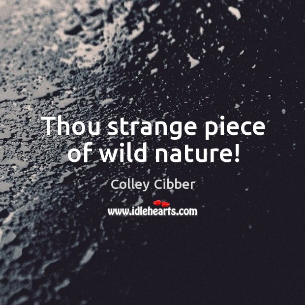 Thou strange piece of wild nature! Colley Cibber Picture Quote