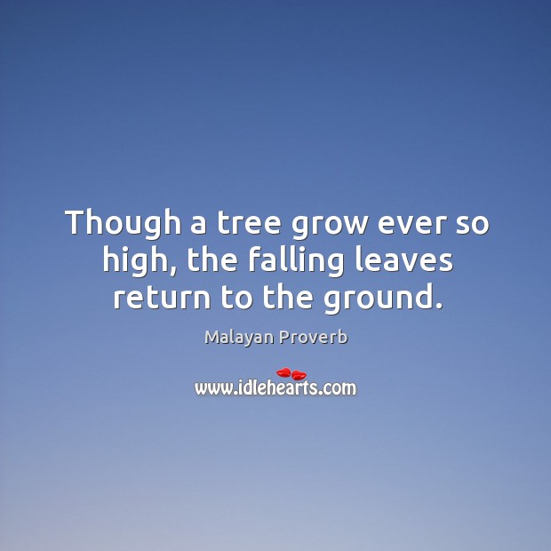 Though a tree grow ever so high, the falling leaves return to the ground. Malayan Proverbs Image
