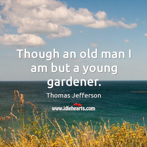 Though an old man I am but a young gardener. Thomas Jefferson Picture Quote