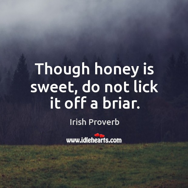 Though honey is sweet, do not lick it off a briar. Irish Proverbs Image