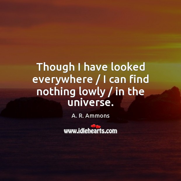 Though I have looked everywhere / I can find nothing lowly / in the universe. A. R. Ammons Picture Quote