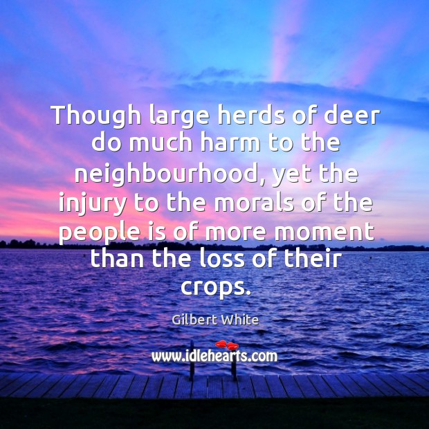 Though large herds of deer do much harm to the neighbourhood Gilbert White Picture Quote