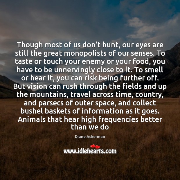 Though most of us don’t hunt, our eyes are still the great Image