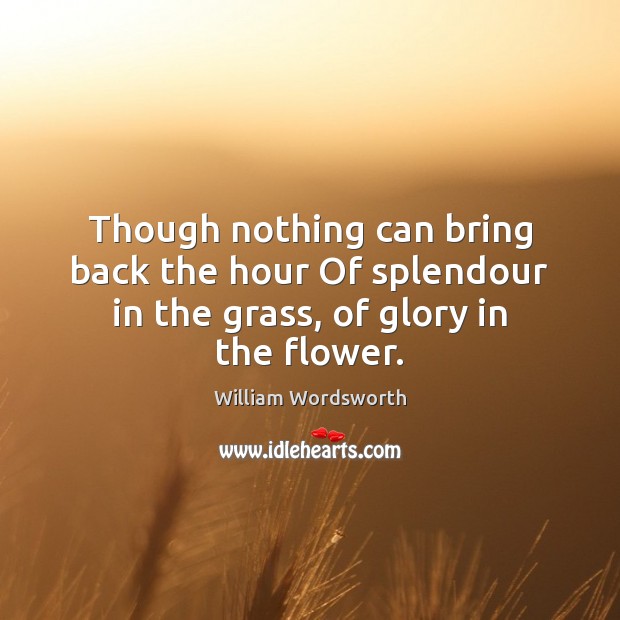 Though nothing can bring back the hour Of splendour in the grass, of glory in the flower. Image