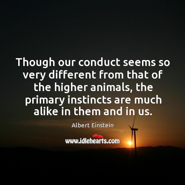 Though our conduct seems so very different from that of the higher Image