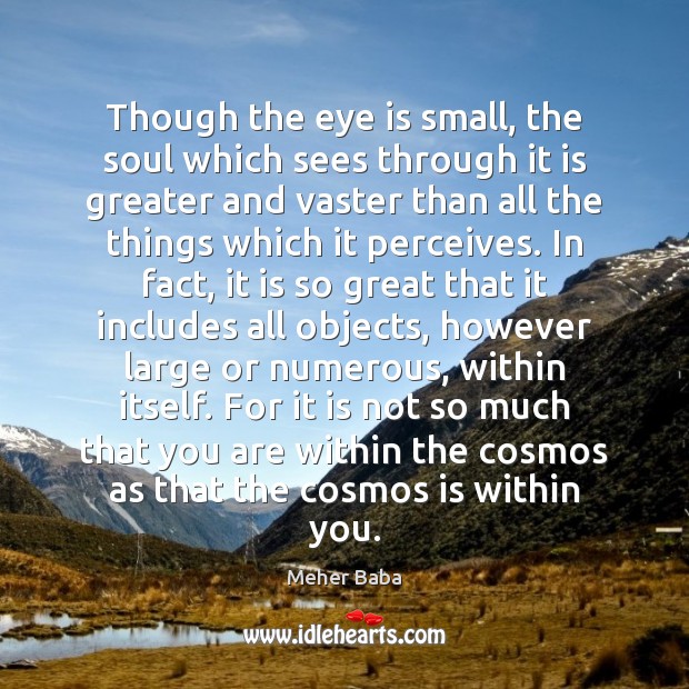 Though the eye is small, the soul which sees through it is Meher Baba Picture Quote
