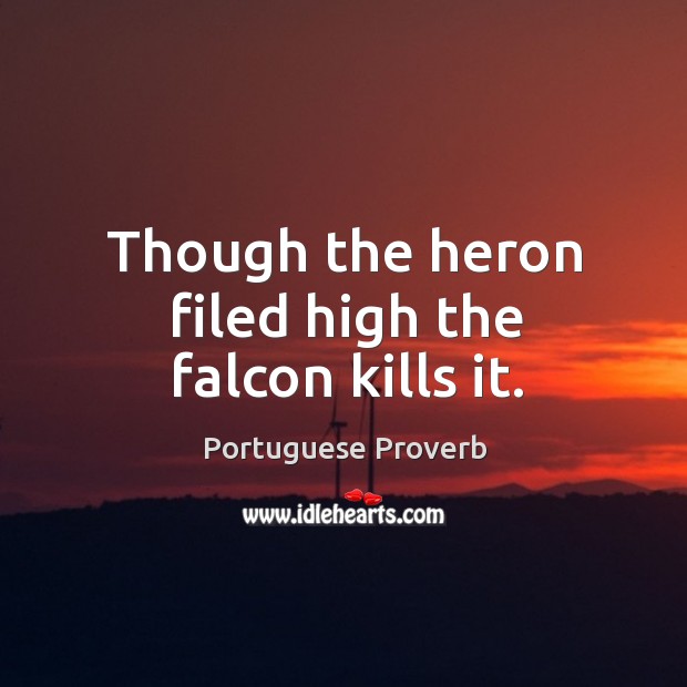 Though the heron filed high the falcon kills it. Portuguese Proverbs Image