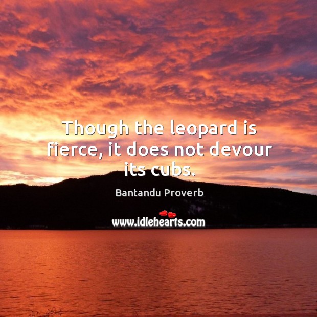 Though the leopard is fierce, it does not devour its cubs. Bantandu Proverbs Image