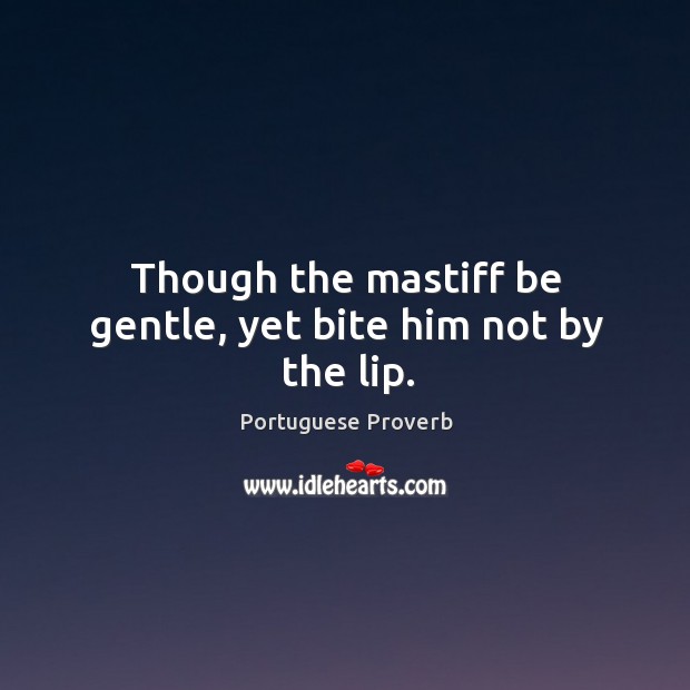 Though the mastiff be gentle, yet bite him not by the lip. Portuguese Proverbs Image
