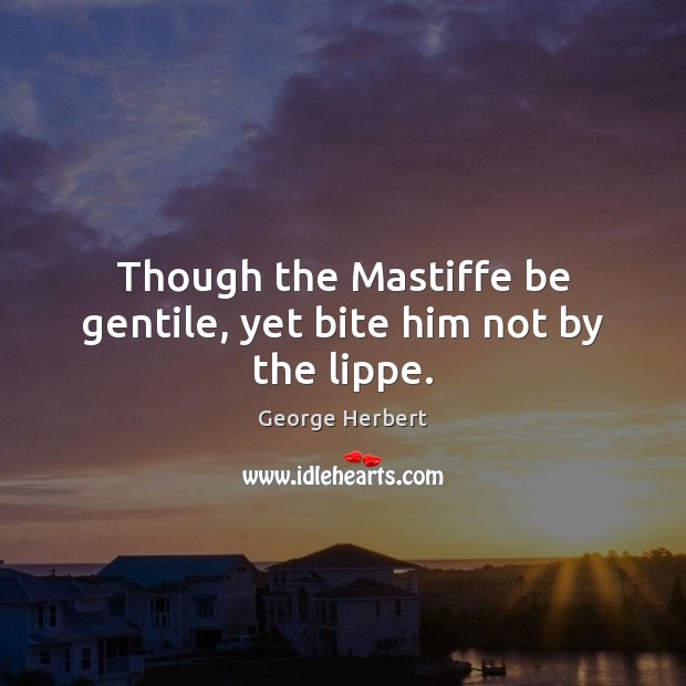 Though the Mastiffe be gentile, yet bite him not by the lippe. George Herbert Picture Quote