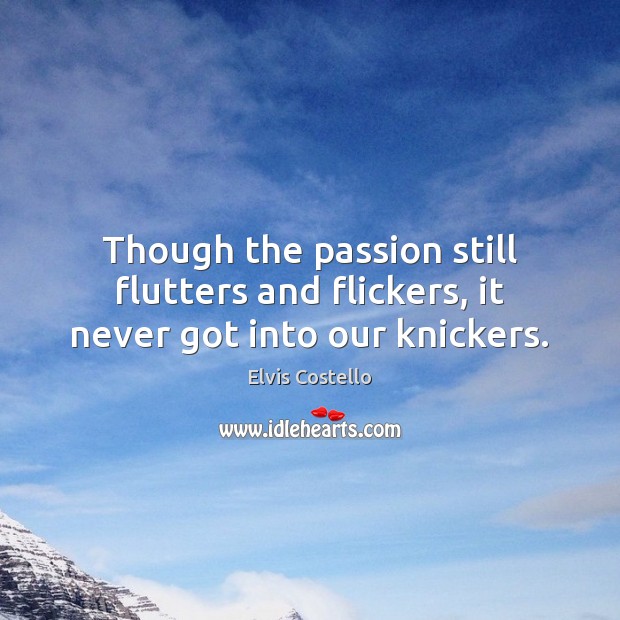 Though the passion still flutters and flickers, it never got into our knickers. Elvis Costello Picture Quote