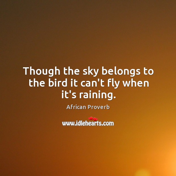 Though the sky belongs to the bird it can’t fly when it’s raining. Image