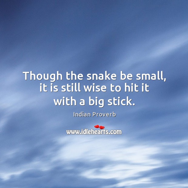 Though the snake be small, it is still wise to hit it with a big stick. Indian Proverbs Image