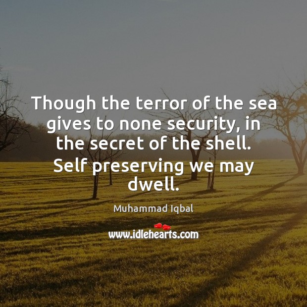 Though the terror of the sea gives to none security, in the Image