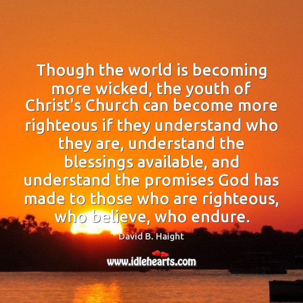 Though the world is becoming more wicked, the youth of Christ’s Church David B. Haight Picture Quote