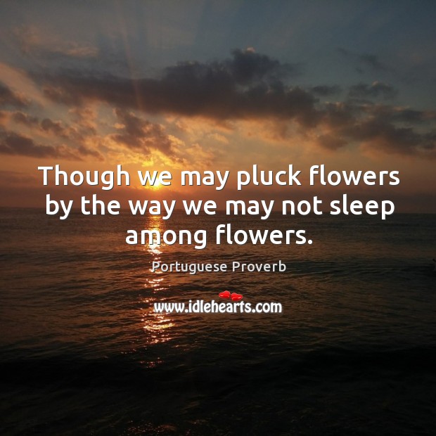Though we may pluck flowers by the way we may not sleep among flowers. Portuguese Proverbs Image